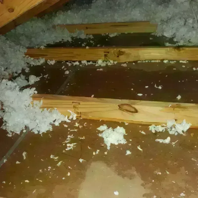 Attic Water Damage in Apple Valley, OH