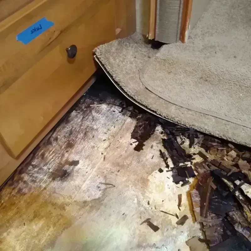 Wood Floor Water Damage in Apple Valley, OH